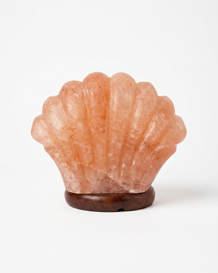 Himalayan Salt Carved Shell / Conch Lamp