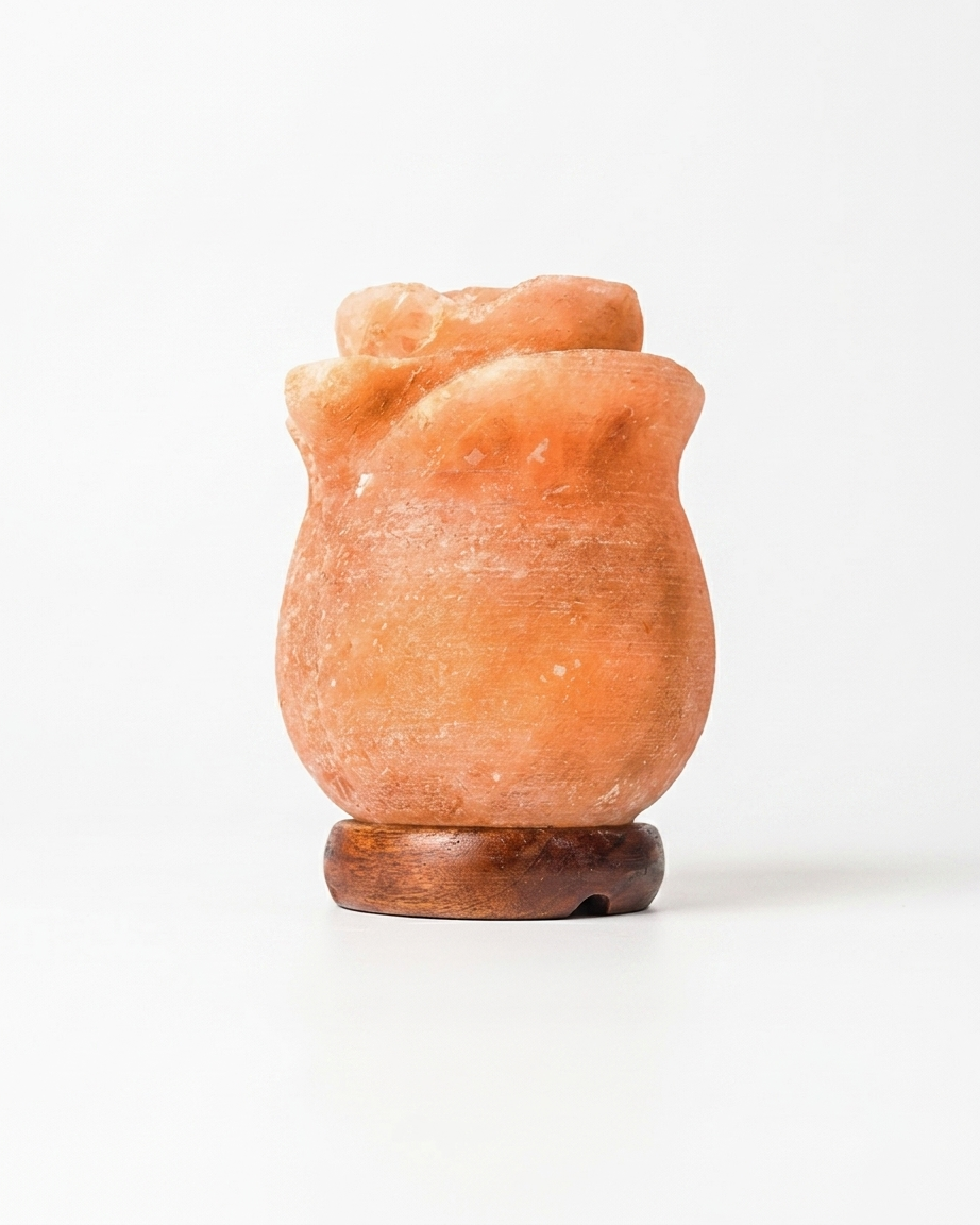 Himalayan Salt Carved Rose Flower Lamp