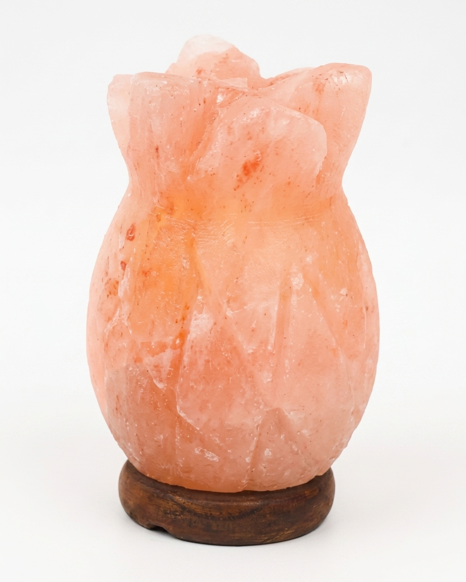 Himalayan Salt Carved Pineapple Lamp