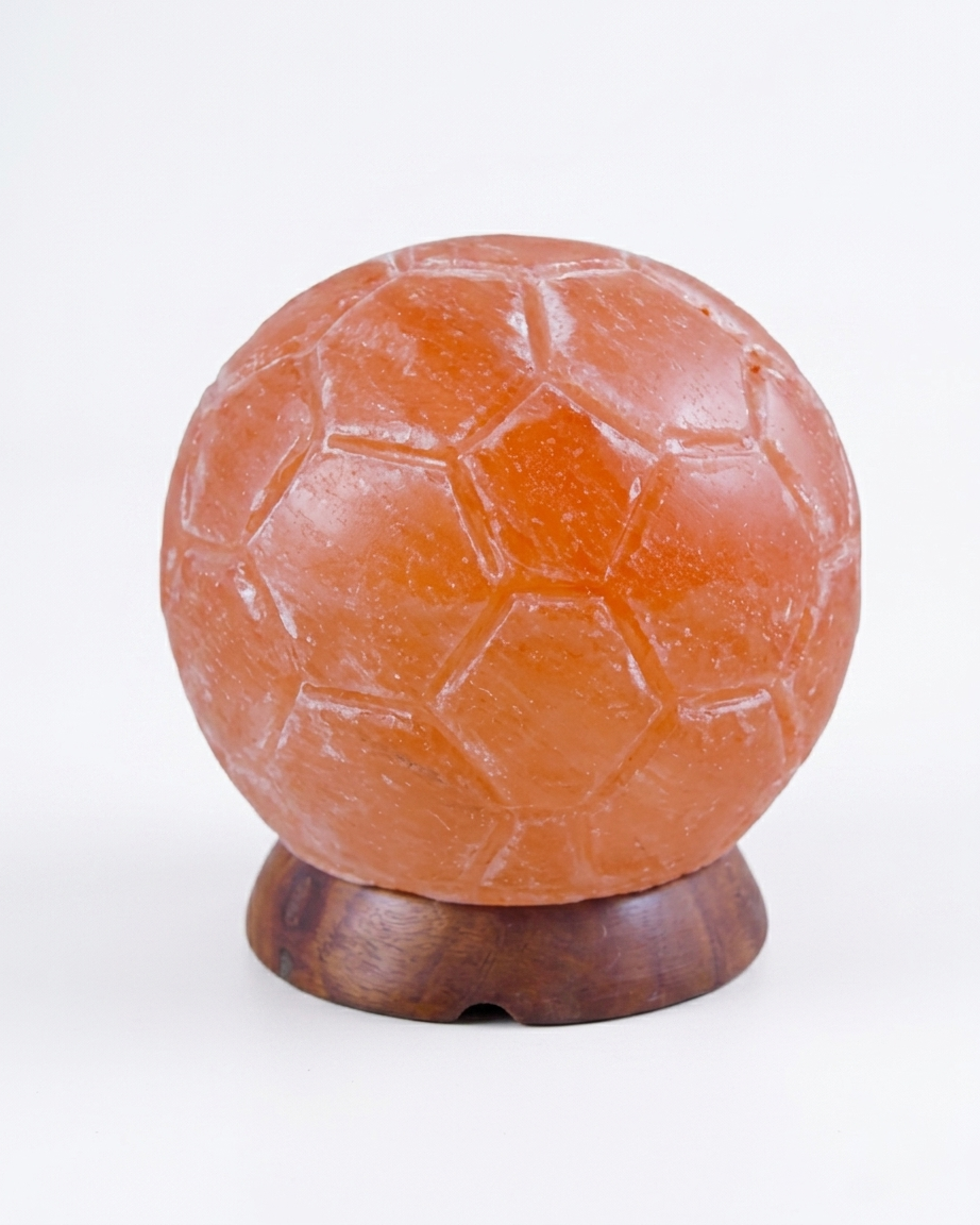 Himalayan Salt Carved Globe Lamp
